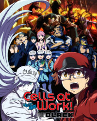 Khi các tế bào làm việc trong cơ thể trung niên BLACK