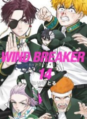 Wind Breaker