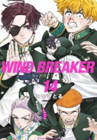 Wind Breaker